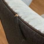 Moroso Take A Line For A Walk donkerblauw - Afbeelding 14