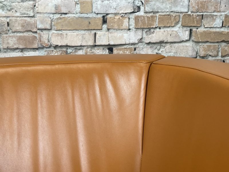 B&B Italia Tulip Armchair - Afbeelding 9