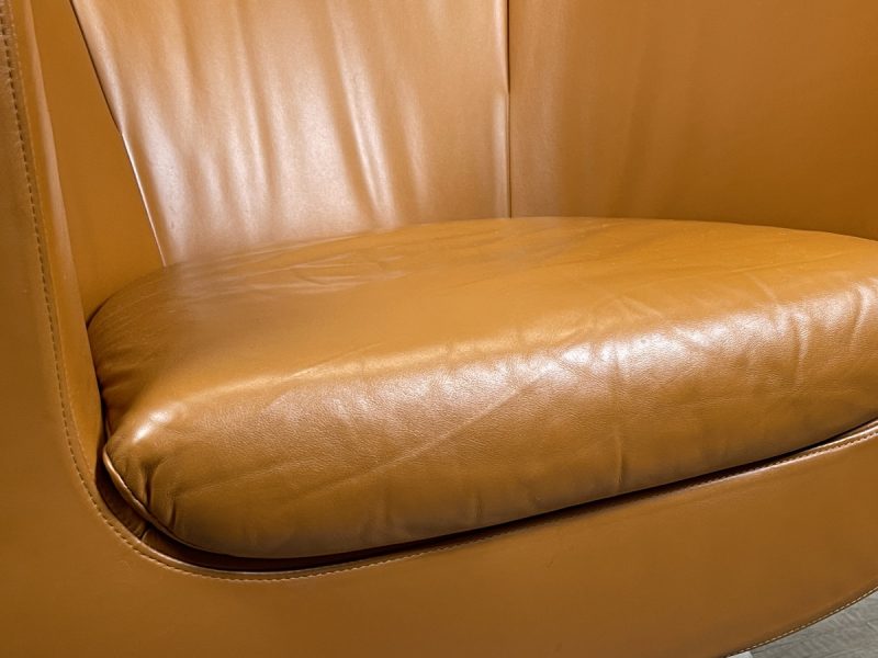 B&B Italia Tulip Armchair - Afbeelding 11