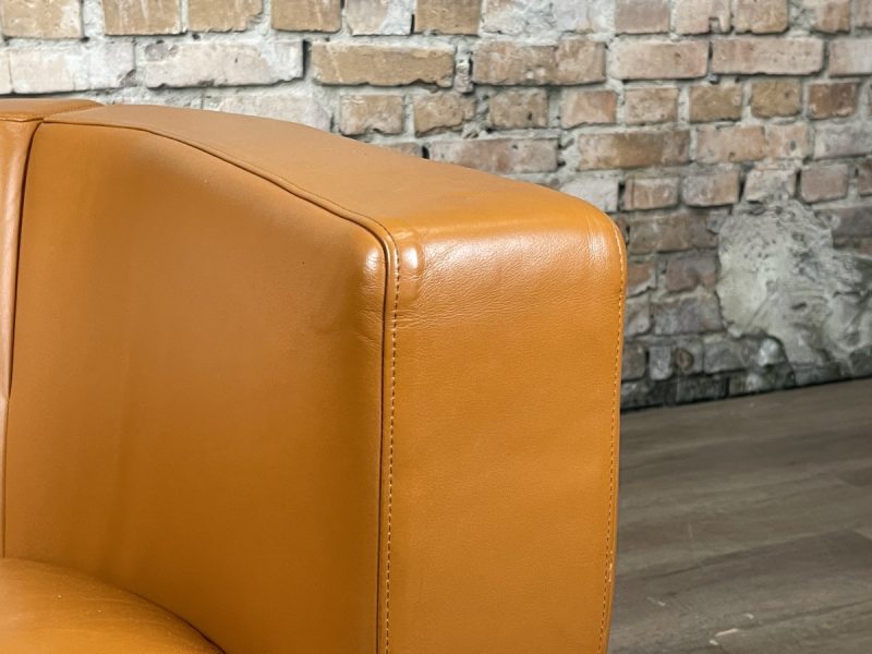 B&B Italia Tulip Armchair - Afbeelding 13