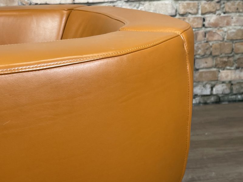 B&B Italia Tulip Armchair - Afbeelding 14