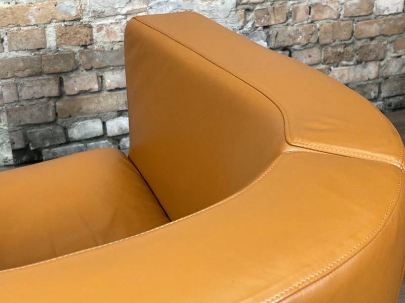B&B Italia Tulip Armchair - Afbeelding 15