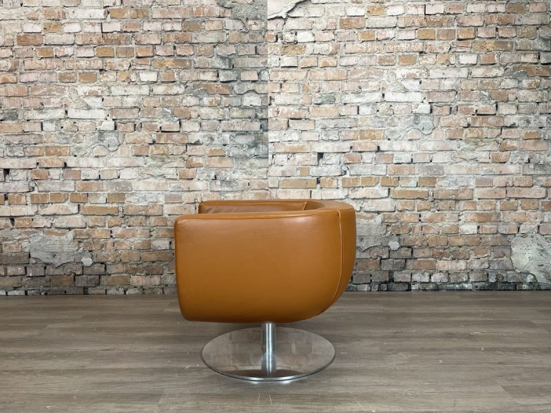 B&B Italia Tulip Armchair - Afbeelding 4