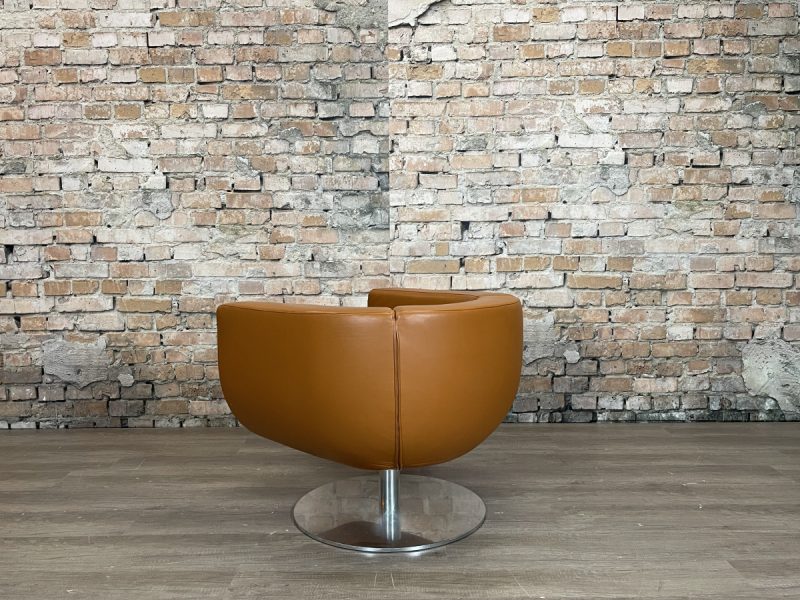 B&B Italia Tulip Armchair - Afbeelding 5