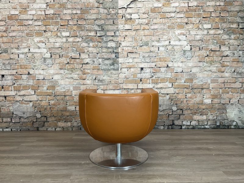 B&B Italia Tulip Armchair - Afbeelding 6