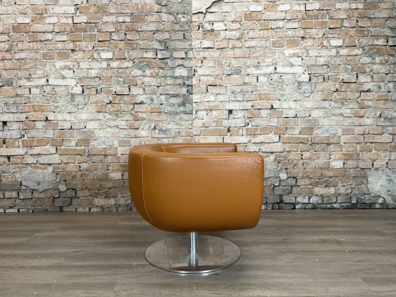 B&B Italia Tulip Armchair - Afbeelding 8