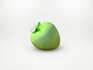 Design-Appel-Sculptuur-theresales