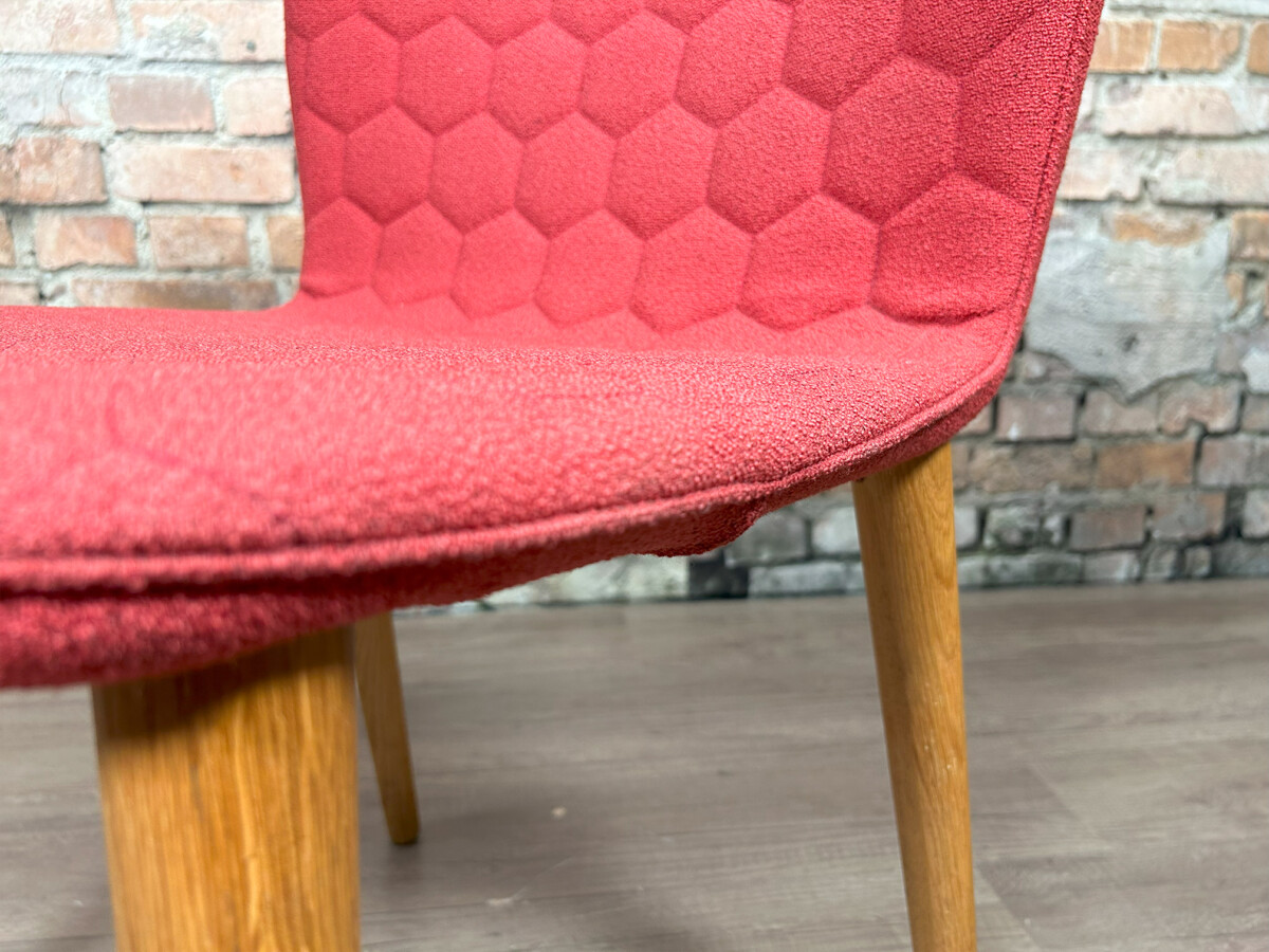 Sancal Tea - Afbeelding 13