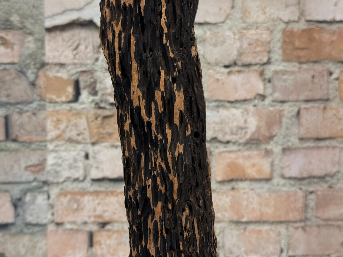 Balinees Organisch Houten Sculptuur - Afbeelding 6