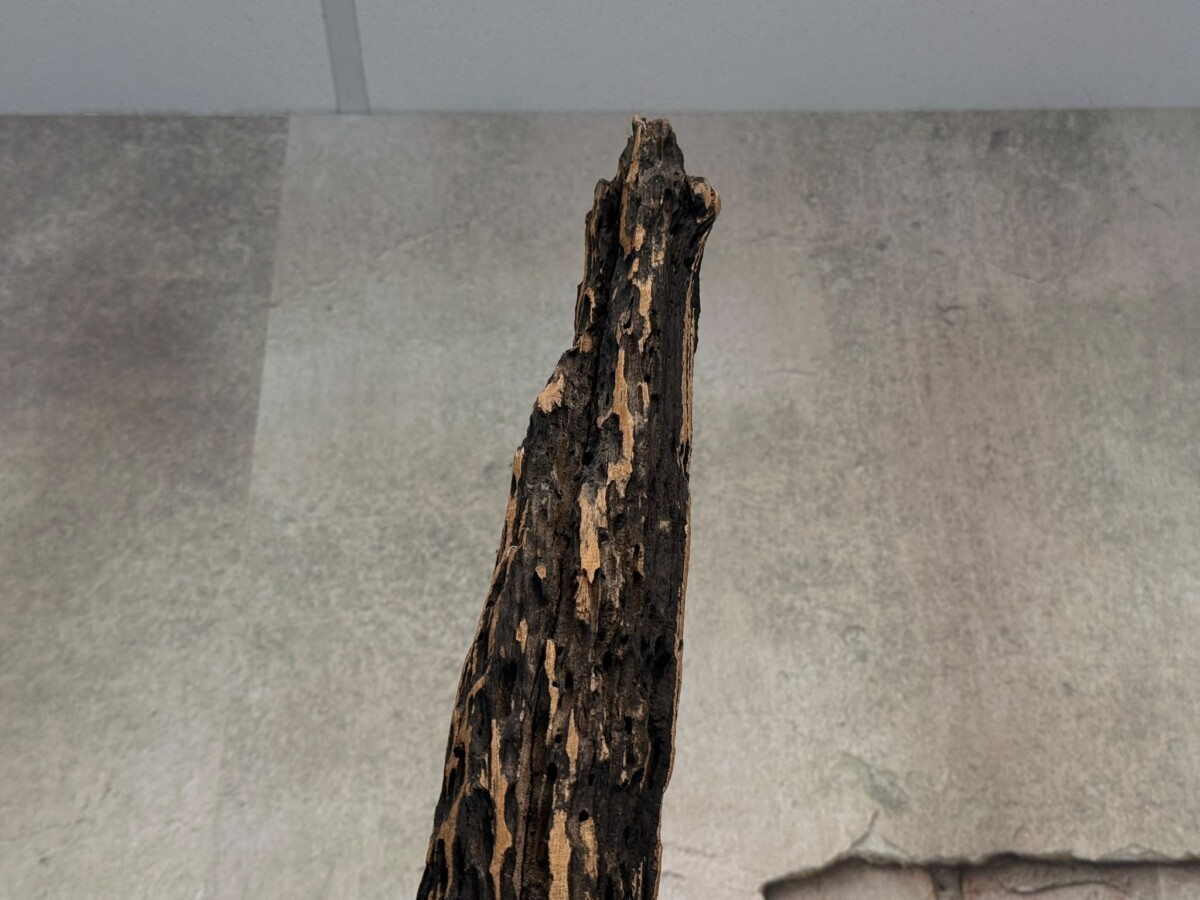 Balinees Organisch Houten Sculptuur - Afbeelding 5