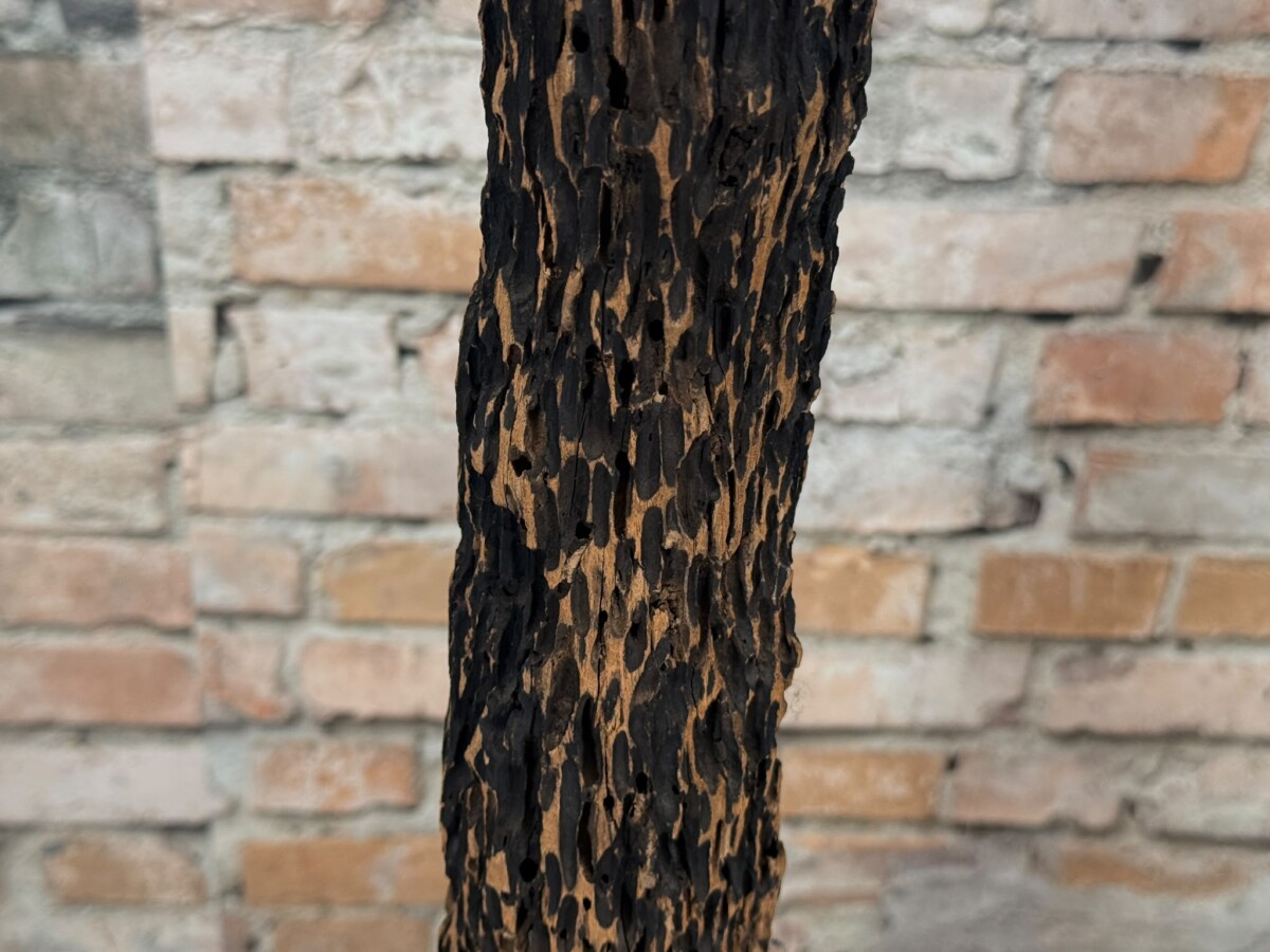 Balinees Organisch Houten Sculptuur - Afbeelding 4