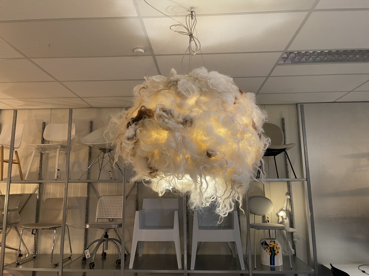 Wout Wessemius Plag – Bild 2